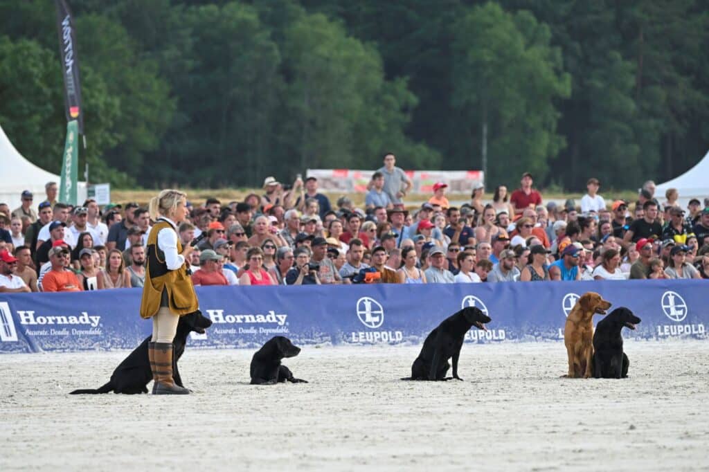 game fair activité