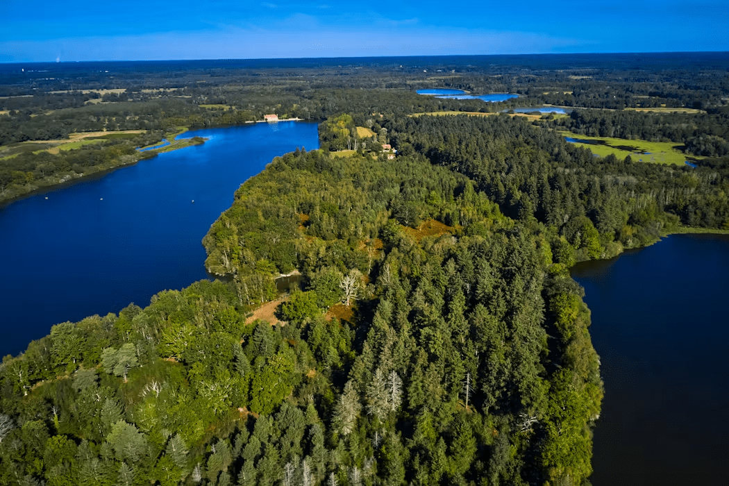 Forêts Sologne