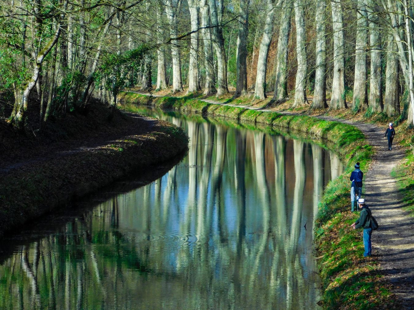 Le canal du berry